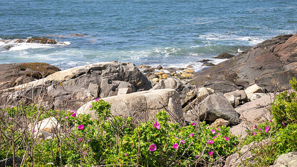 istock Lanes Island Coastline 2226378333