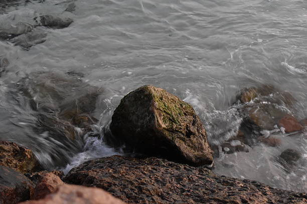 The image features a close-up view of a rocky shoreline with water gently washing over the rocks. Prominent in the scene is a large, moss-covered rock at the center, surrounded by smaller stones. The water appears to be part of a river or sea, with a sense of movement and fluidity captured in the ripples and foam. The overall atmosphere is natural and serene, emphasizing the textures of the rocks and the dynamic flow of the water.