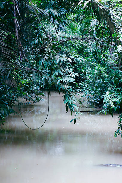 istock Father and Son Exploring Thara Bok Korani Nature Trail, Krabi 2226381008