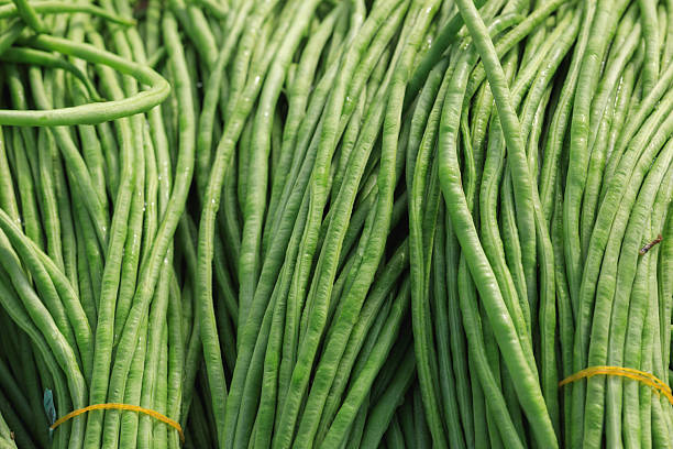 istock Fresh picked long bean  for sale 2226381062