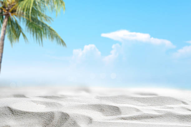 istock Palm tree on a beautiful sandy beach with blue sky. Natural background. Summer concept 2226382216
