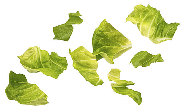 istock Falling chopped lettuce leaves isolated on white background 2226383888
