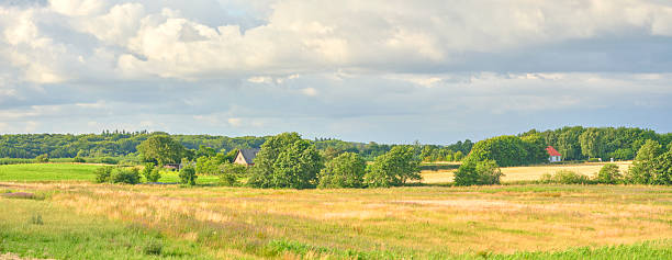 An expansive view of lush Scandinavian countryside, displaying a harmonious scene of green meadows interspersed with golden wheat fields under a vast cloud-strewn sky, celebrated for its tranquility and natural beauty.