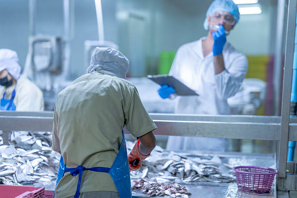 istock A supervisor in a food processing plant wearing protective gear, inspecting a fish while holding a clipboard, emphasizing quality control, hygiene, and safety in the seafood production process. 2226387620