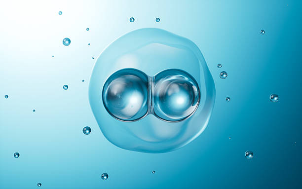 istock Cells division, Cell divides into two cells, biology and medicine concept, 3d rendering. 2226390418