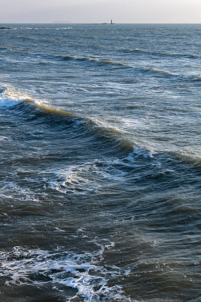 istock frozen wave on the sea in winter 2226397205