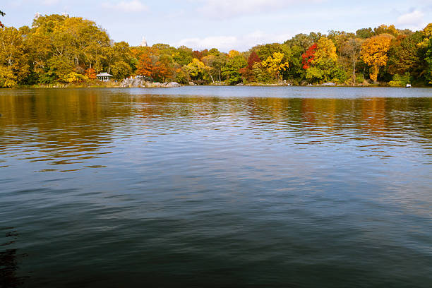 istock Central Park in New York City 2226398406
