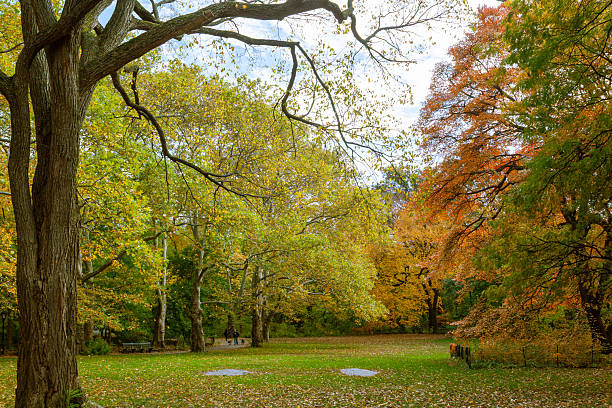 istock Central Park in New York City 2226398471