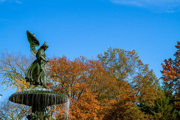 This photo was taken in Central Park, New York City, during the fall season on October 20, 2010. The trees are covered in vibrant shades of orange, yellow, gold, maroon, and red, capturing the beauty of autumn at its peak.