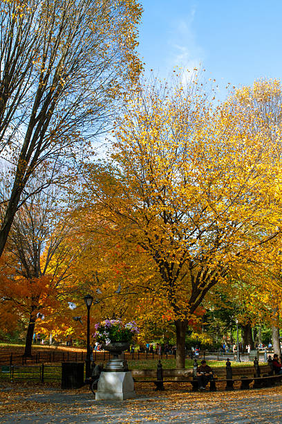 istock Central Park in New York City 2226398554