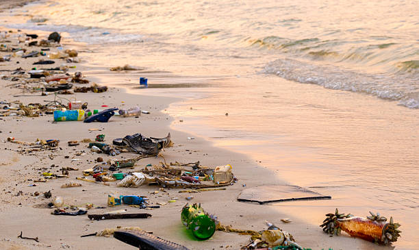 istock Trash, plastic cups and plastic bags at the beach. environmental problem concept and healing the world 2226403346
