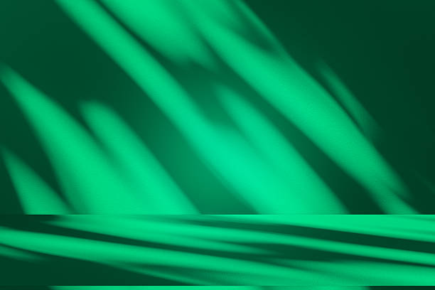 istock Studio style background wall decoration presentation uses white and green tones. with shadows cast from a nearby window, concept creating a decorative 2226403452