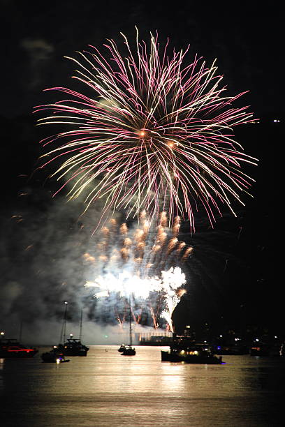 istock Colorful Fireworks in Vancouver’s Summer Sky 2226403997