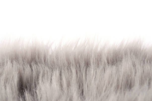 Soft grey faux fur isolated on white