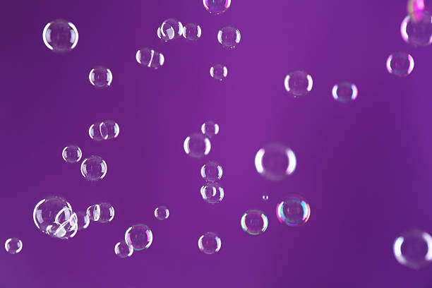 Beautiful transparent soap bubbles on purple background