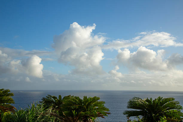 Summer scenery of Amami Oshima