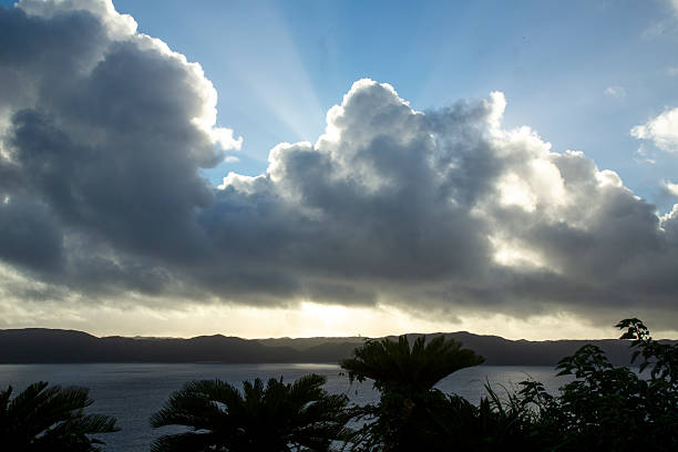 Summer scenery of Amami Oshima