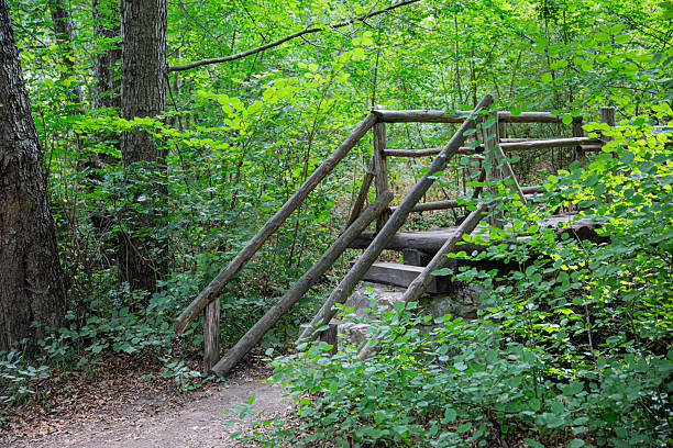 istock Details from old wooden bridge in a forest 2226406088