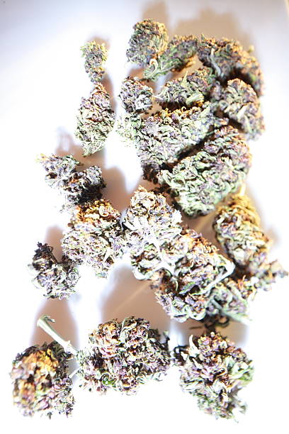 istock dry bud medical marijuana.cannabis close up 2226408347