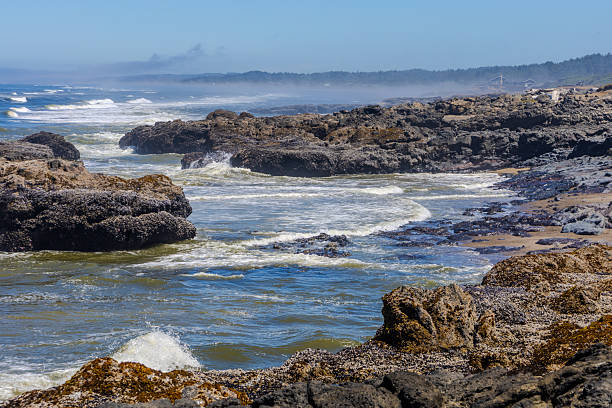 This captivating photo captures the raw power of nature as a powerful ocean wave crashes into barnacle-covered coastal rocks, creating an explosive splash beneath a clear blue sky on a sunny day by the sea.