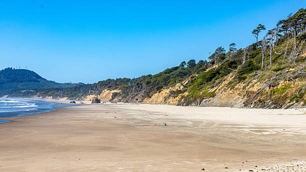 istock A serene sandy shoreline meets gentle ocean waves, backed by green forested hills under a clear blue sky. Perfect for themes of relaxation, coastal travel, and the natural beauty of the seashore. 2226410133