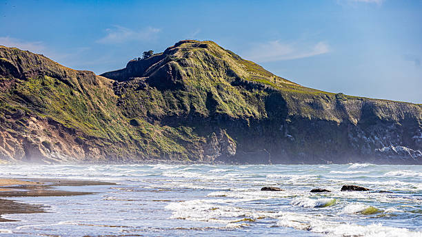 istock A serene sandy shoreline meets gentle ocean waves, backed by green forested hills under a clear blue sky. Perfect for themes of relaxation, coastal travel, and the natural beauty of the seashore. 2226410135