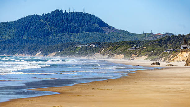 A serene sandy shoreline meets gentle ocean waves, backed by green forested hills under a clear blue sky. Perfect for themes of relaxation, coastal travel, and the natural beauty of the seashore.