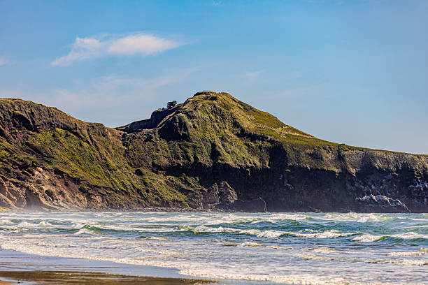 A serene sandy shoreline meets gentle ocean waves, backed by green forested hills under a clear blue sky. Perfect for themes of relaxation, coastal travel, and the natural beauty of the seashore.