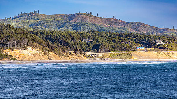 A serene sandy shoreline meets gentle ocean waves, backed by green forested hills under a clear blue sky. Perfect for themes of relaxation, coastal travel, and the natural beauty of the seashore.