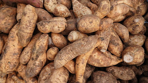 istock Raw Sweet Potato Pile 2226411593