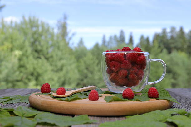 Falling ripe juicy raspberries on red background. With copy space