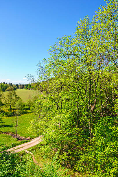istock Rural landscape view in summer 2226417277