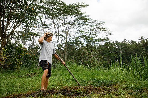 A farmer stands in a lush green field, holding a farming tool, surrounded by vibrant foliage and tall trees under a clear sky. Symbolic of rural landscapes, agriculture, and nature, this scene captures a harmonious connection to the land, portraying dedication, work ethic, and serenity.