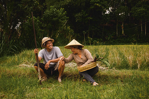 istock Two farmers sharing a joyful moment in a lush rice field 2226424103