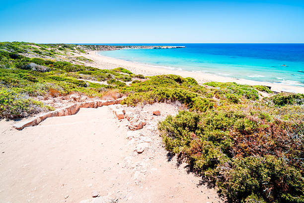 istock Lara Beach near Paphos, Cyprus. 2226425116