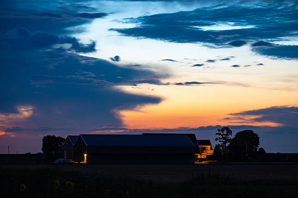 Rural Manitoba countryside on July 01, 2023: Early dawn view of a farm with barns and silos set against crops in rural Manitoba Canada