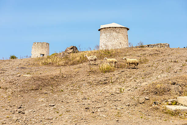 istock A dry landscape with two stone structures and three sheep grazing on the hillside under a clear blue sky 2226428112