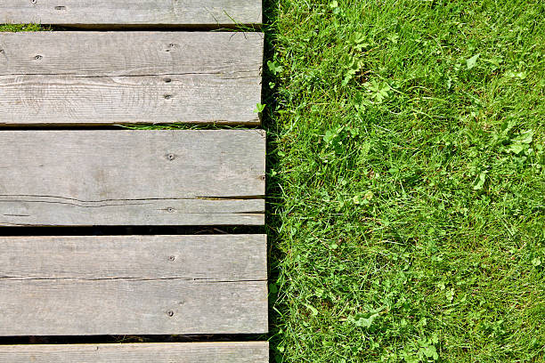 mackup green grass lawn and wooden decking path.