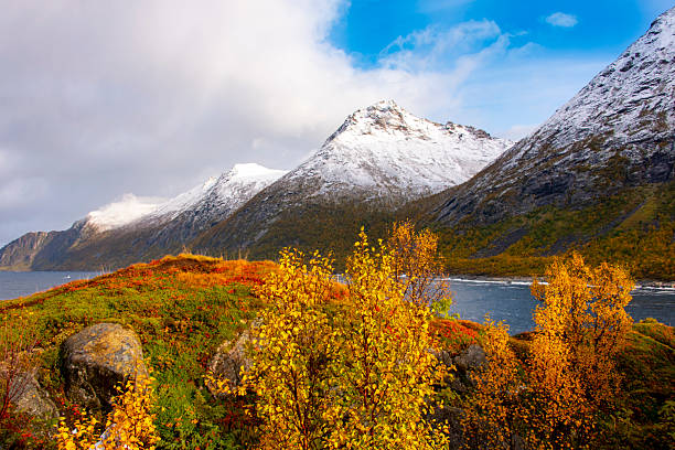 Autumn on Husoy Island - Norway
