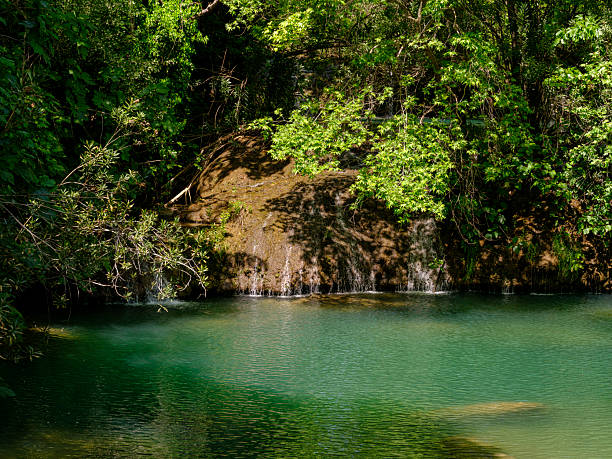 beautiful river in the forest