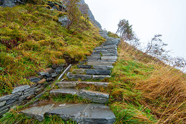 istock Sherpa Stairs for Reinebringen Hike 2226431657