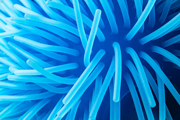 istock Abstract close-up of blue flexible silicone bristles. 2226433484