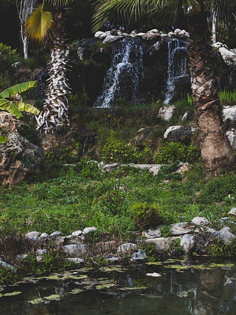 a beautiful lake in the park