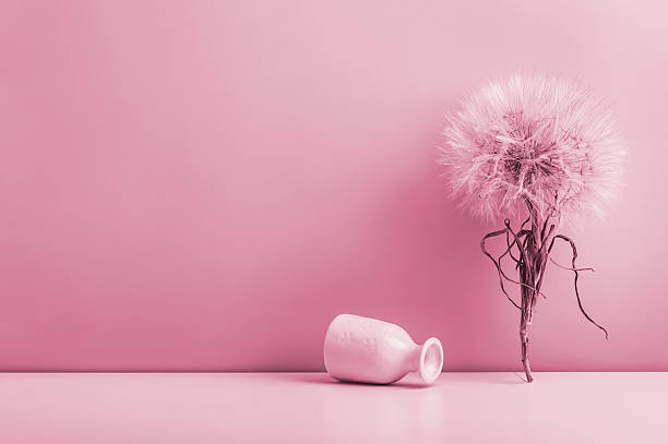 istock A large dandelion on the table and an overturned small ceramic vase on a pink background. Toned image. 2226437077