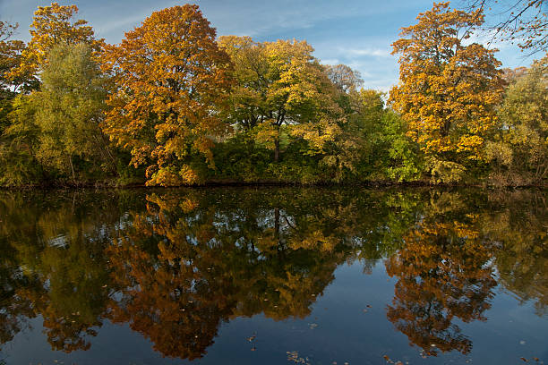 Horizontal view of the trees’ reflection on Churchillparken lake, Copenhagen