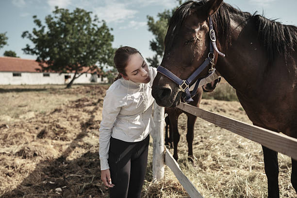 istock Young woman attending horses at the paddock 2226438956