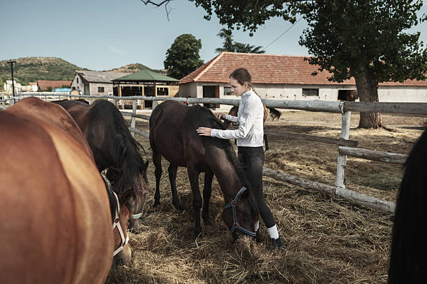 istock Young woman attending horses at the paddock 2226438997