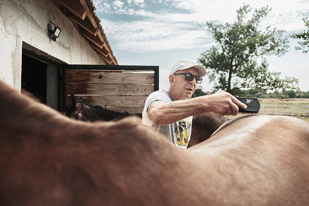 istock Mature man getting ready for a horse ride 2226439321