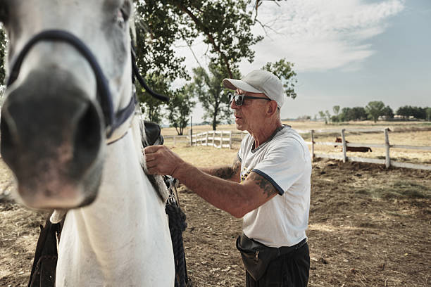 istock Mature man getting ready for a horse ride 2226439652