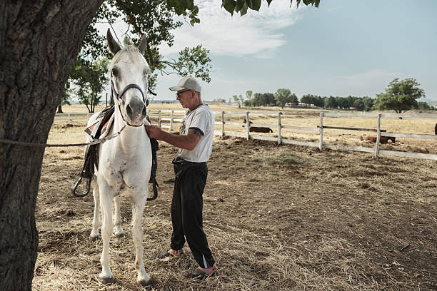 istock Mature man getting ready for a horse ride 2226439655